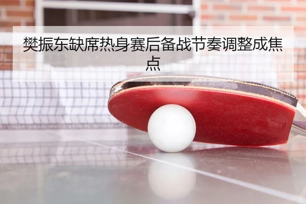 樊振东缺席热身赛后备战节奏调整成焦点
